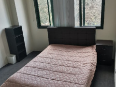 DARLING HARBOUR ROOM FOR RENT