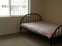 Sharing flat with 1 female&a cat at Strathfield ($130/w excl. bills)