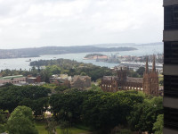 Female to share in CBD