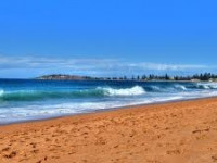 Own room in Narrabeen!