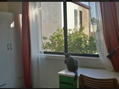 1min to train, close to city