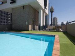Room share in city sydney 