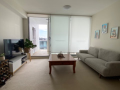 期間限定！シェアではありません