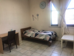 Female / Own room / Ashfield 