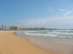 Own Room, Manly Beach