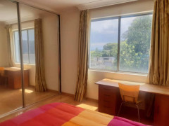 New own room $330 near Station