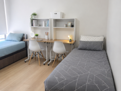Sydney /luxury&clean APT/1girl