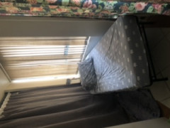 Sunny Room in PYRMONT 