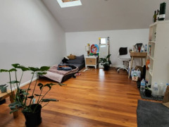 Own room for rent Forest Lodge