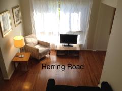 Room available