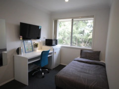 Single Own Room ~ Marsfield