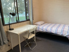 Own Room / 1 Guy / Bondi Junct