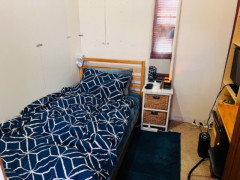 Surry Hills Short term 