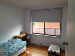 短期期間限定 Spingvale 日本人家族 猫好き