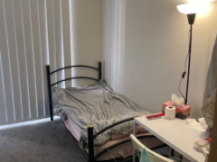 Female Own Room / Pyrmont 