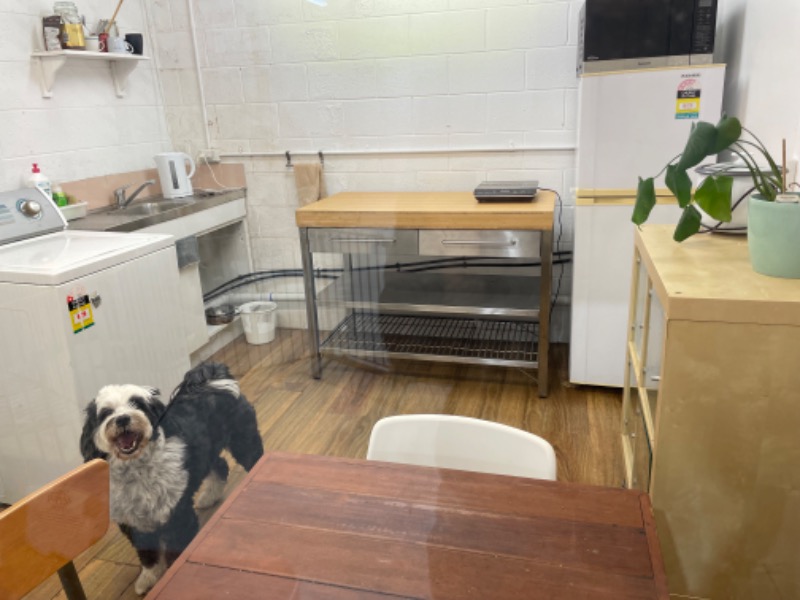 Burleigh heads オウンルーム 週250ドル ゴールドコースト クラシファイド Burleigh heads 住まい・シェア