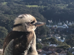 Cityまでバスで15分！落ち着いたノースにあるひとり部屋