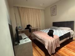 オウンルーム、オウンバスルーム(犬のいるおうち