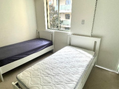 Pyrmont 男性1人募集中 