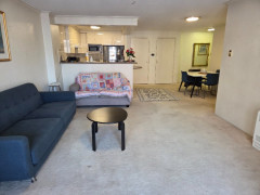 Darling Harbour / $250 Female