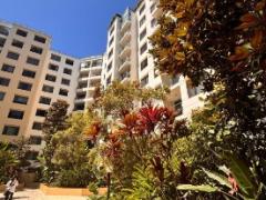 Pyrmont Male Share $300
