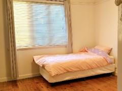🌿女性限定】Burwood近くEnfield / 即入居可