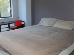 ＊〜動物好きの女性限定〜１１月６日から１２月半ばまで入居可能