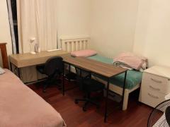 A Shared room for Male, Ultimo