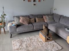 オウンルーム入居者募集（2部屋) in Revesby