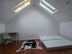 Own room- Forest Lodge