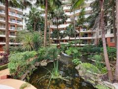 即入居可｜St Leonards｜オウンルーム＋猫のお世話