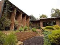 HOUSE OF THE WHITE OWL