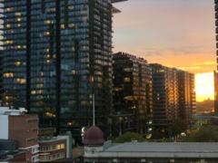 🔥 市内のルームシェア🚹🚺