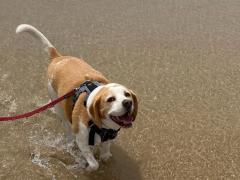 新築で台湾系オージーとgc育ちの日本人と一緒に住みませんか？