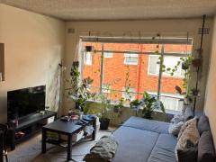 ５月１６日までの短期募集です。