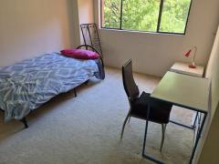 twin room $220/w