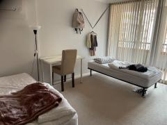 Pyrmont 女性専用　シェアルーム　$225