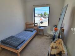 Room for Rent – Forest Lodge