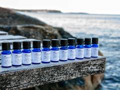 シドニーでメディカルアロマセラピーを学びませんか？