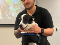 “好き”を仕事に！オーストラリア動物専門コース