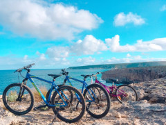 南オーストラリアの動物達の島で旅するように働こう！