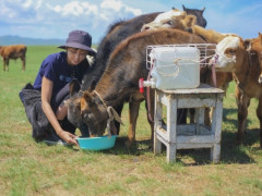 悠久の大地モンゴルで、お仕事体験のチャンスです！