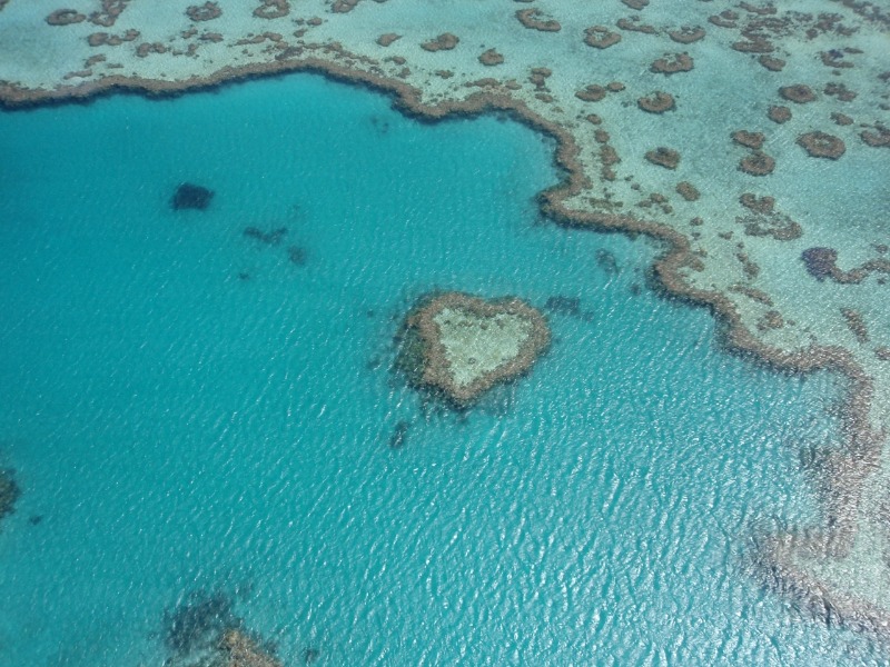 幻のh島ハートリーフの島です アデレード クラシファイド Adelaide 求人 仕事 Jams Tv オーストラリア生活情報ウェブサイト