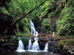 避暑地で人気♪癒されるスパリゾートで働きませんか？