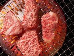 スタッフ募集 Chatswood 焼肉黒桜