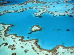 アイランドにあるホテルでキッチンハンドとクリーナ募集中！