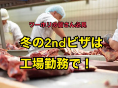 2ndビザをお考えのワーホリの皆さん必見‼️