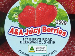 Beerwah/ strawberry highseason