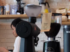Free Japanese Cafe induction  
