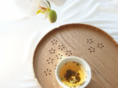 Japanese Matcha Tea Teacher